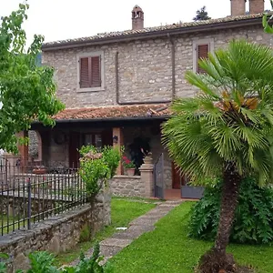 Magnolia Cortona
